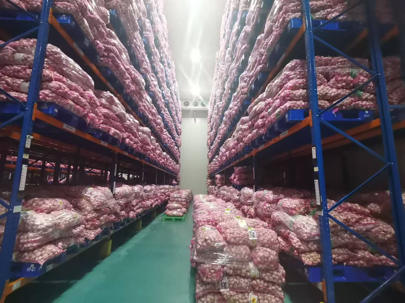 1763026785489245.png 圖片3.png