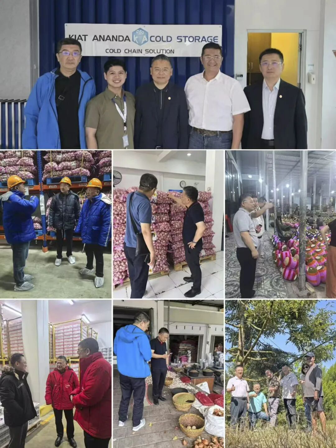 1767610618263351.jpg 640 (1).jpg